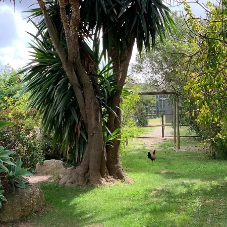 招待所 Finca Filpi *