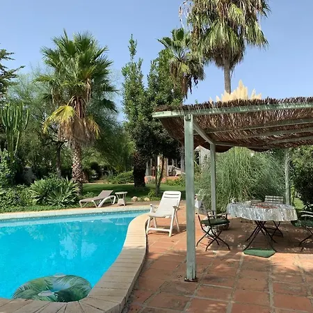 Affittacamere Finca Filpi *