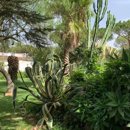 Affittacamere Finca Filpi